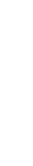ornament vertical.png
